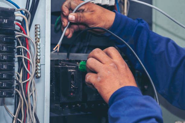 Best Ceiling Fan Installation Electrician  in Mikes, TX
